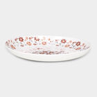 1 Melamine Full Plate, , small
