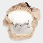 Kid's Beige Nylon/Polyester Bag, , small image number null