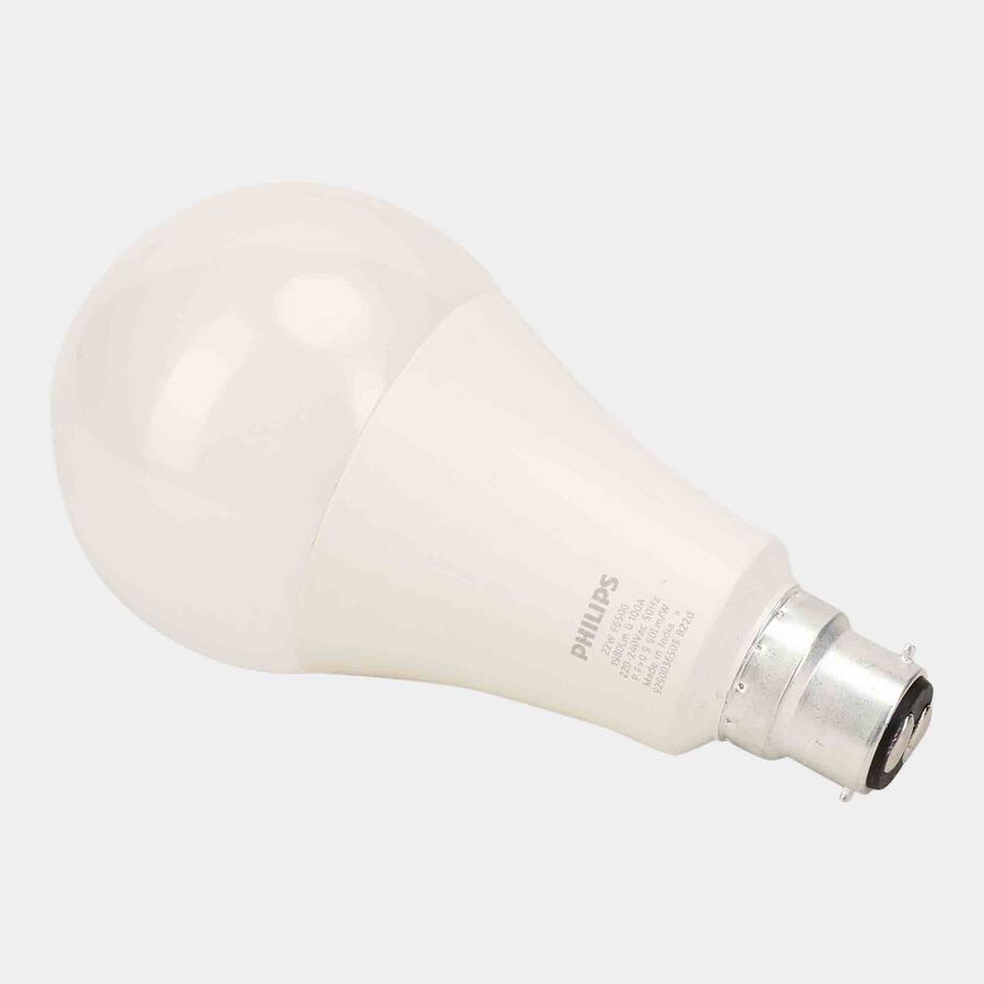 22W Led Bulb, , large image number null
