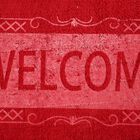 Multicolour Polyester Door Mat, , small image number null