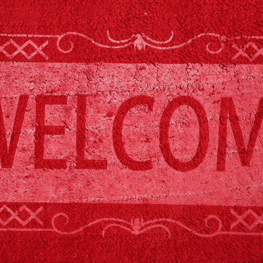 Multicolour Polyester Door Mat, , large image number null