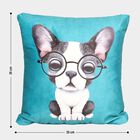 Teal Microfiber Cushion, , small image number null
