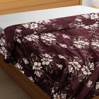 Purple Microfiber Blanket, , small image number null