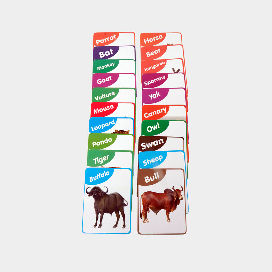 Animal Flash Cards, , large image number null