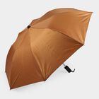 Men's Brown Polyester Umbrella, , small
