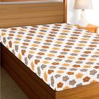 Brown Microfiber Single Bedsheet, , small image number null