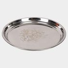 Stainless Steel Plate, , small image number null