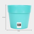 Plastic Planter, , small image number null