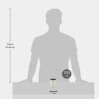 300 ml Stainless Steel Tumbler, , small image number null