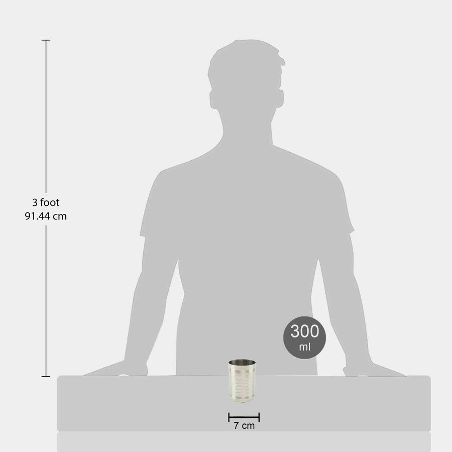 300 ml Stainless Steel Tumbler, , large image number null