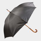 Mens Umbrella, , small image number null