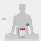 1.2 L Plastic Container Set of 2, , small image number null
