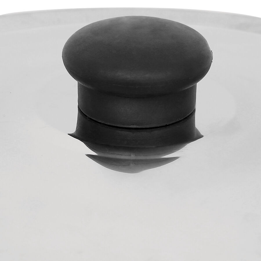 Stainless Steel Multi Purpose Lid (Cover) With Knob - 24.5cm, , large image number null