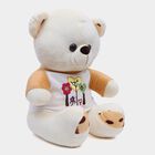 Medium Off White Teddy Bear, , small image number null