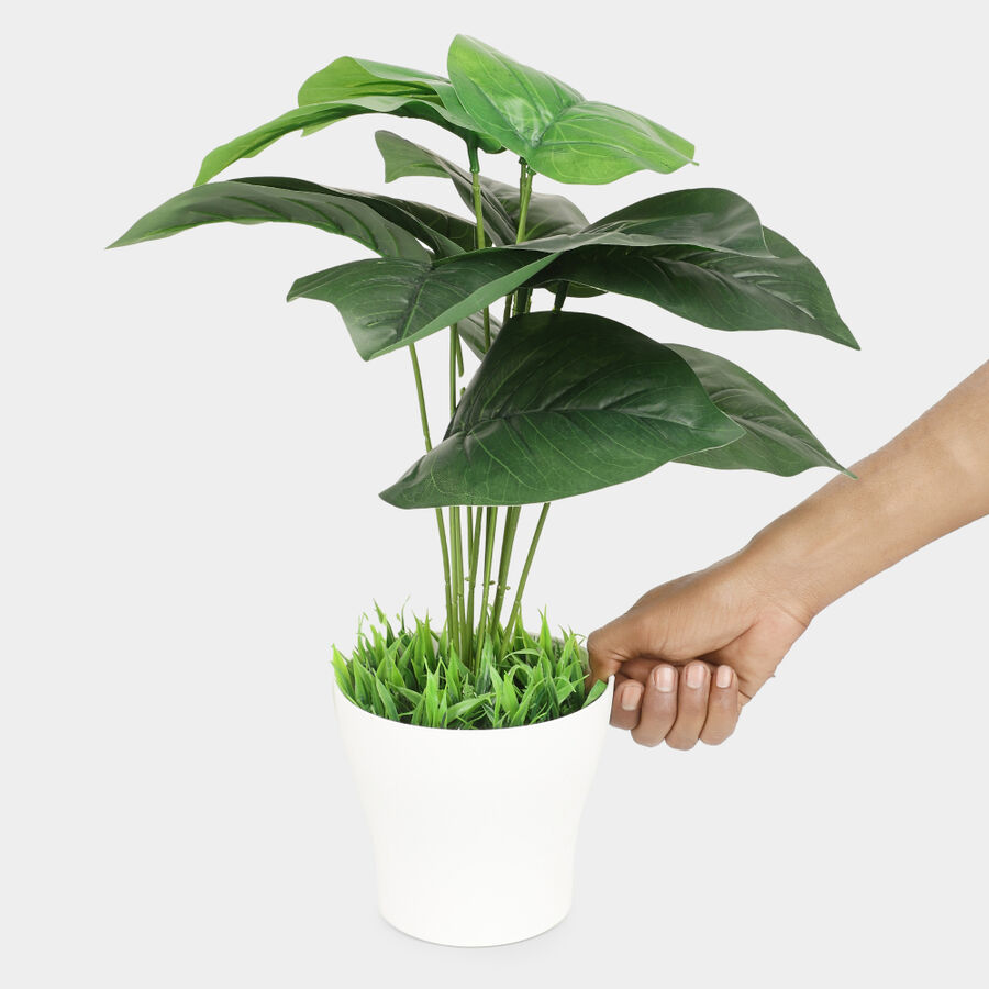 Plastic Artificial Plant, , large image number null
