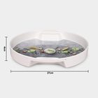 Plastic Serving Tray, , small