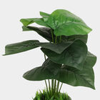 Plastic Artificial Plant, , small image number null