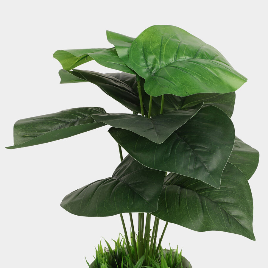 Plastic Artificial Plant, , large image number null