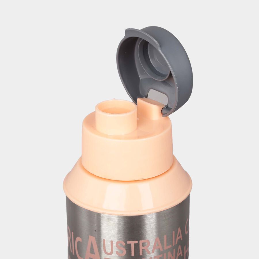 725 ml Stainless Steel Bottle, , large image number null