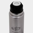 Stainless Steel Insulated Water Bottle (500ml), , small image number null