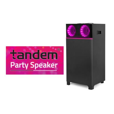 80W Party Bluetooth Speaker with Mic