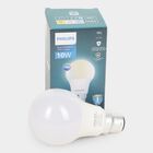 10 WLeb Bulb, , small