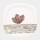 Melamine Full Plate, , small