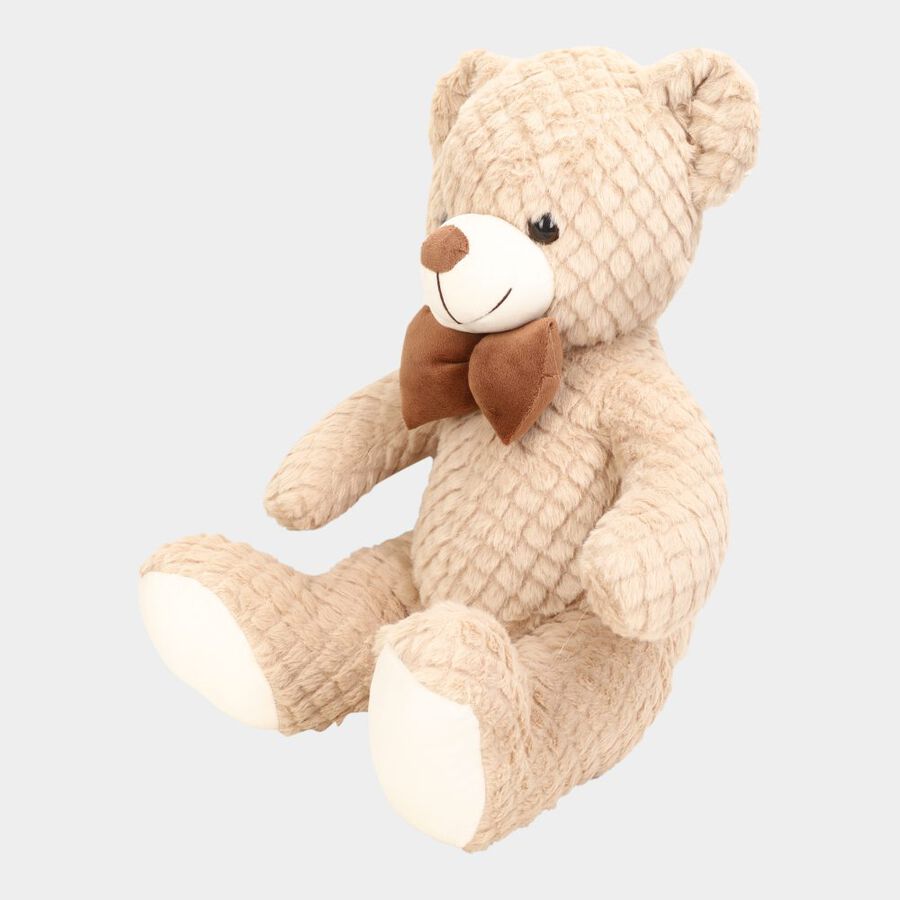 Brown Soft Teddy, , large image number null