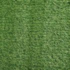 Green Polyester Carpet, , small image number null