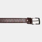 Men Casual Brown Belt (36 in.), , small image number null