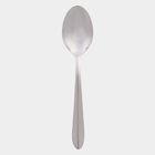 Stainless Steel Spoon, , small image number null