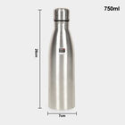 750ml Steel Bottle, , small