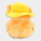 Small Brown Teddy With Cap, , small image number null