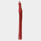 Plastic Broom, , small image number null