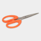 Stainless Steel Scissor, , small image number null