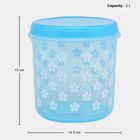 Air-Tight Plastic Container, Set of 4 - 250 ml | 500 ml | 1 L | 2 L, , small image number null