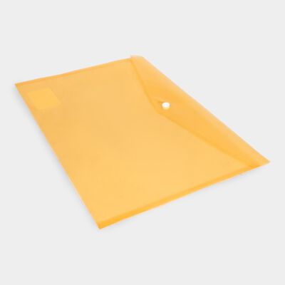 Plastic Clear Bag Folder - Color/Design May Vary