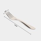 Stainless Steel Fork Set of 4, , small image number null
