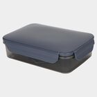 Plastic Lunch Box, , small