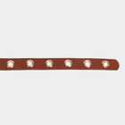 Women's Colour Block Polyurethane Belt, , small image number null