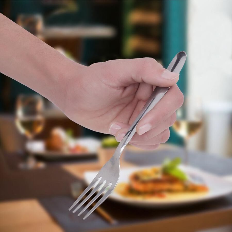 Stainless Steel Fork Set of 4, , large image number null