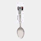 Steel Spoon, , small image number null