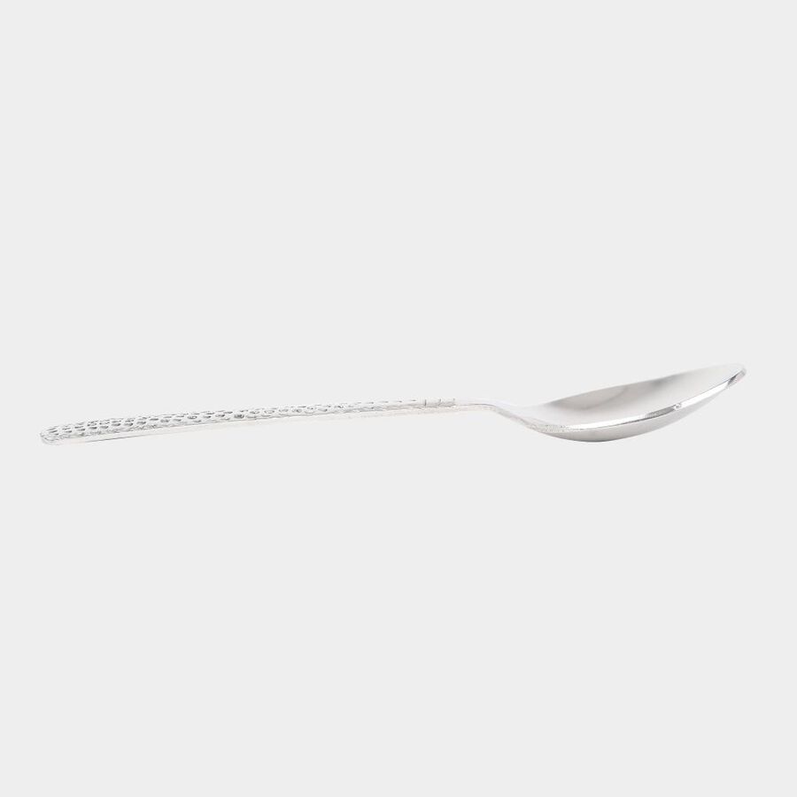 Stainless Steel Spoon Set of 6, , large image number null