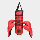 Kids Boxing Kit With Punching Bag and Gloves, , small