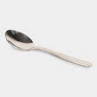 Steel Spoon, , small image number null