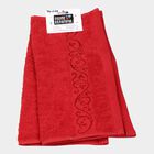 High Absorption Cotton Face Towel, Set of 2, 480 GSM, 30 X 30 cm, , small image number null