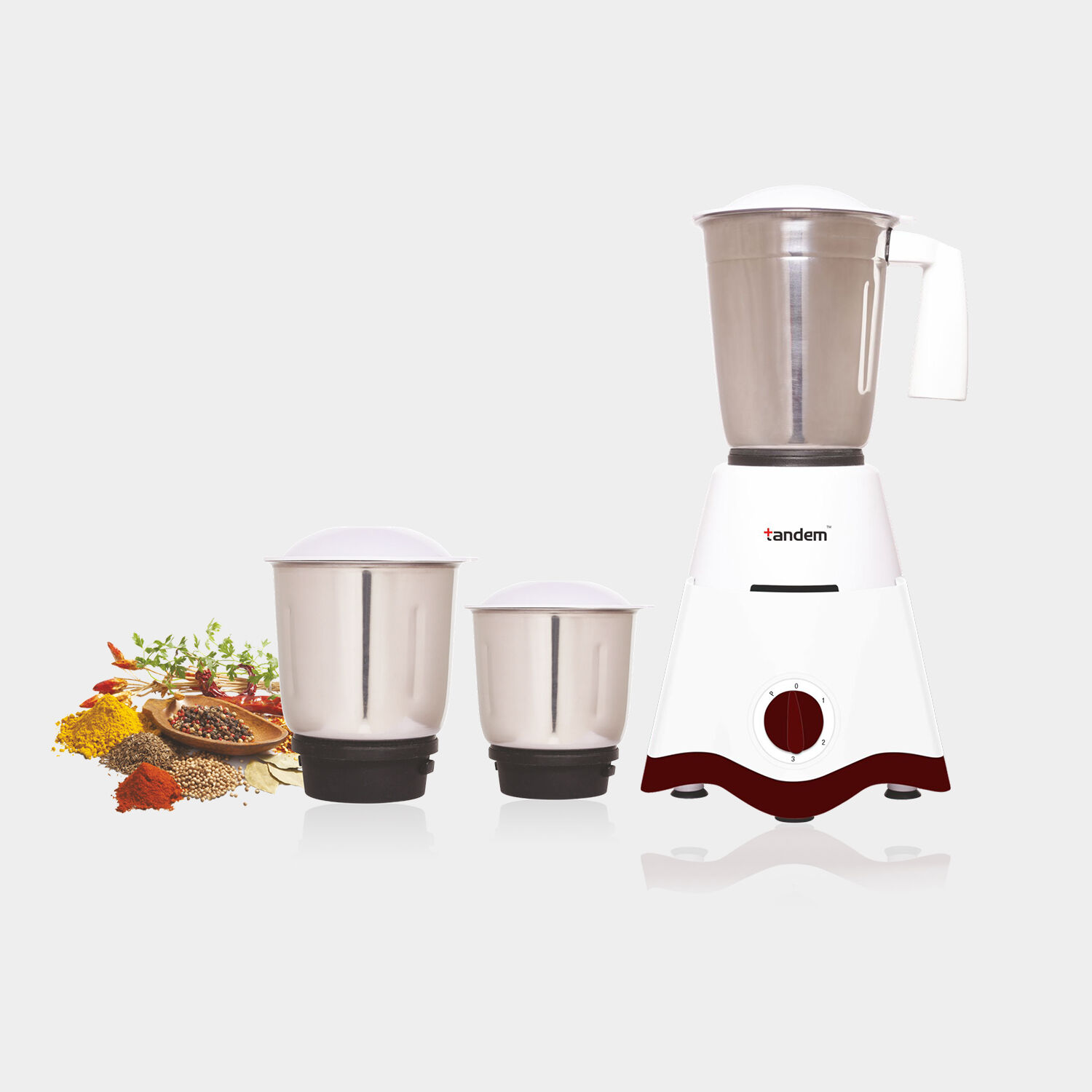 tandem mixer grinder vishal mega mart price