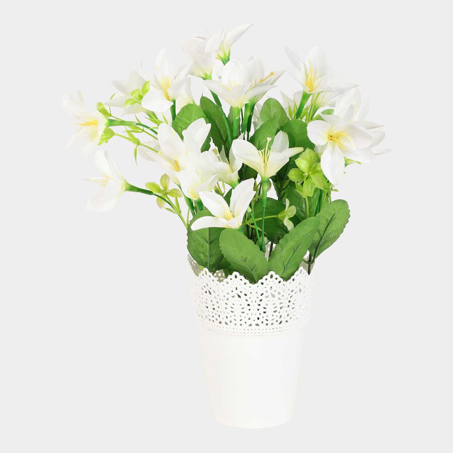 Decorative Plant, , large image number null