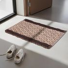 Anti-SKId Brown Polyester Door Mat, , small image number null
