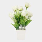 Decorative Plant, , small image number null